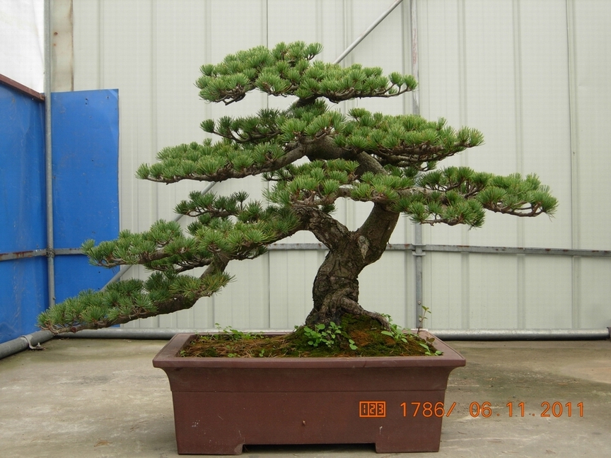 DSCN4509.JPG