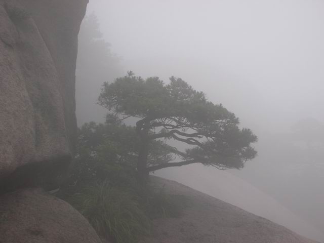 С DSCN2081.jpg