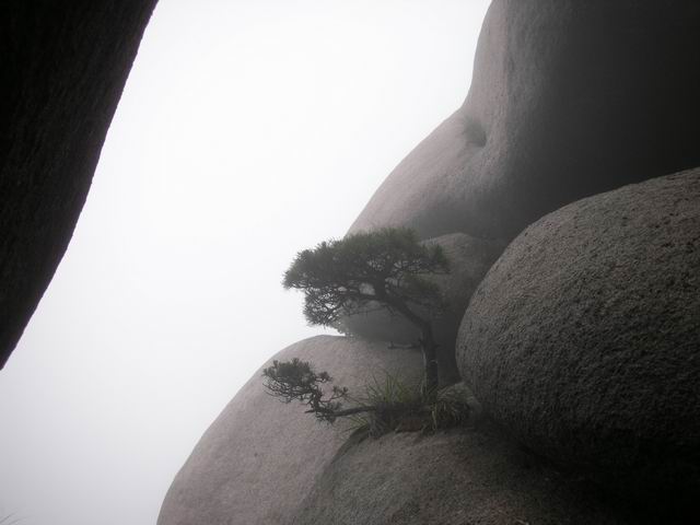 С DSCN2083.jpg