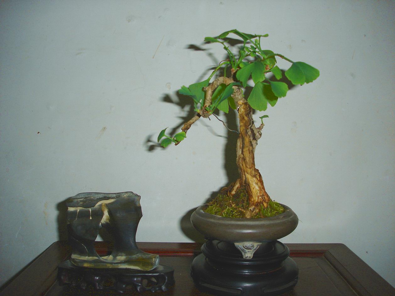 DSC00256.JPG