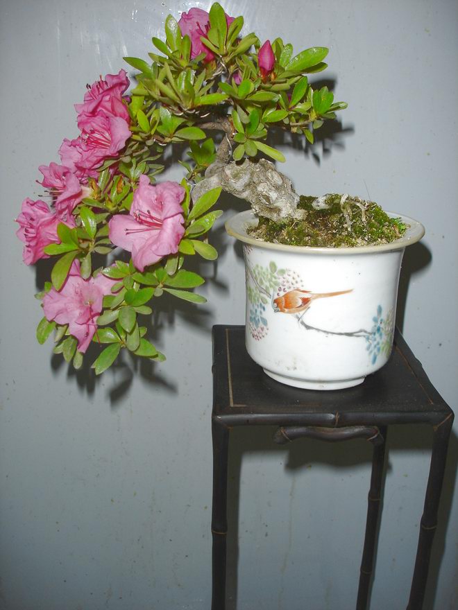DSC01277.JPG