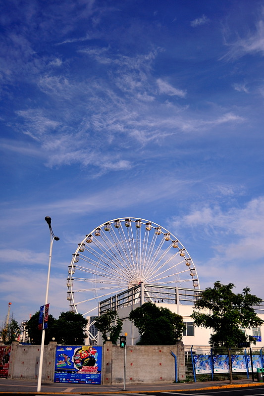 DSC_8407.jpg
