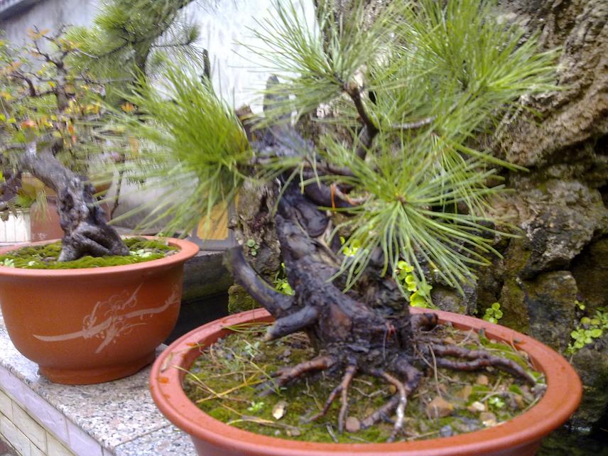 20111105018.jpg