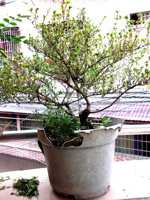 DSCF4978.JPG