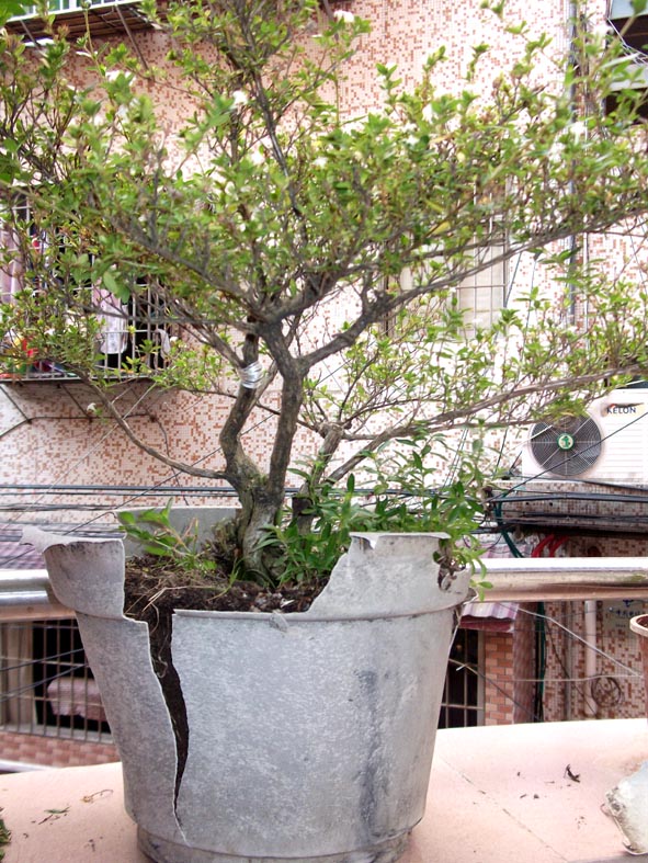 DSCF4989.JPG
