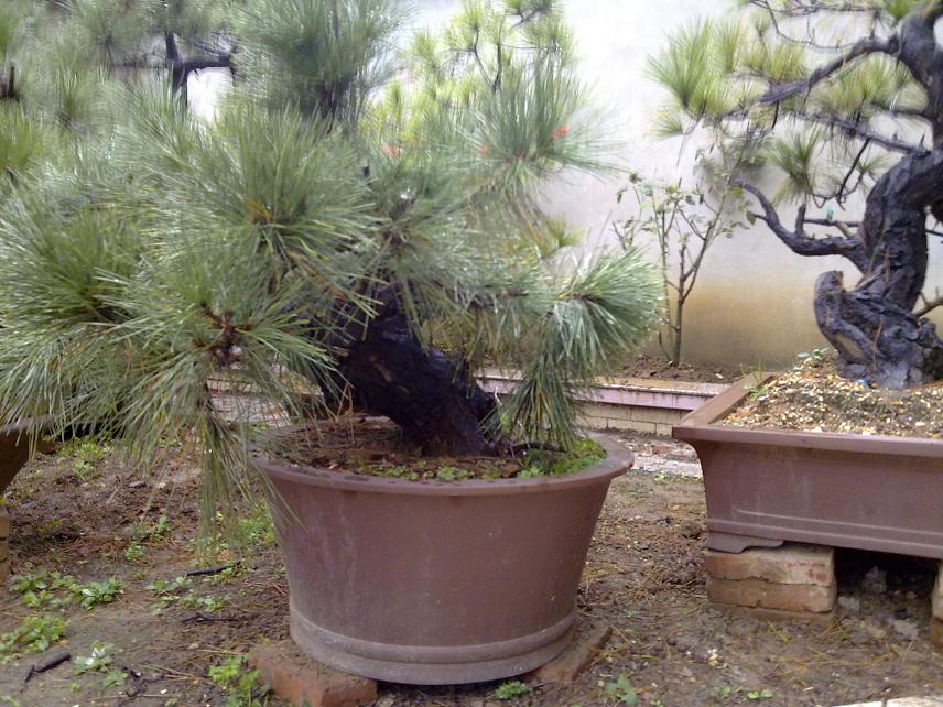 20111105002.jpg