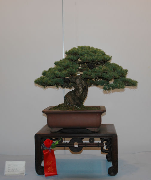 DSC_0177.JPG