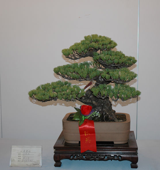 DSC_0183.JPG