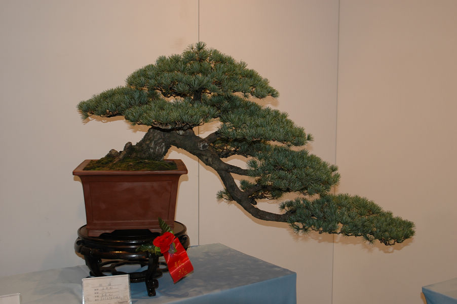 DSC_0198.JPG