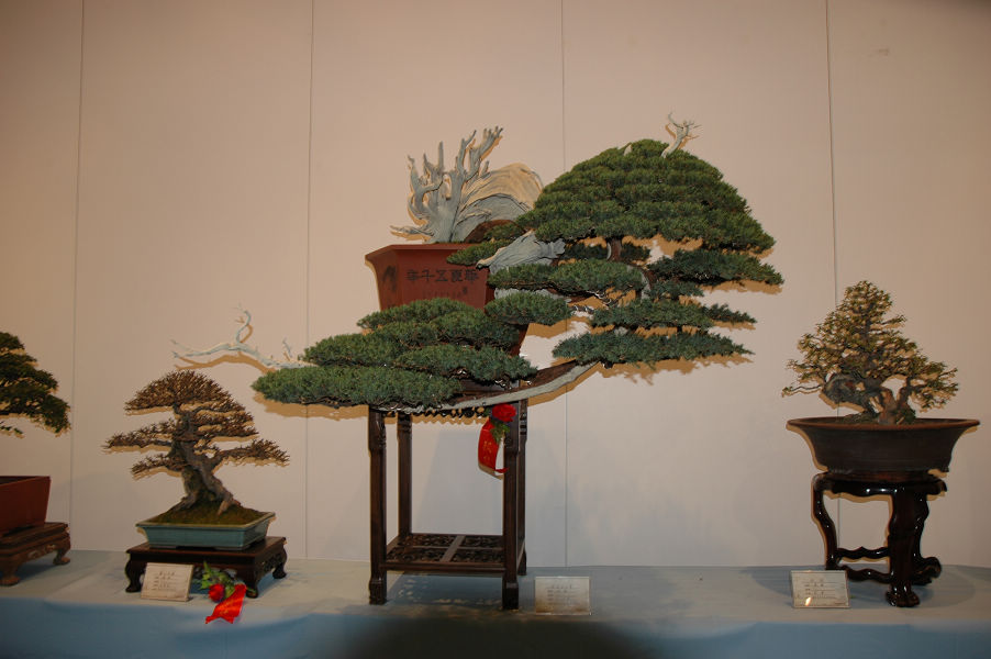 DSC_0210.JPG