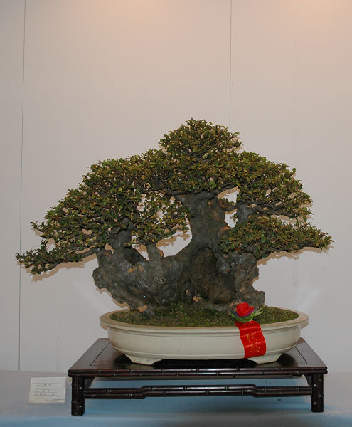 DSC_0179.JPG