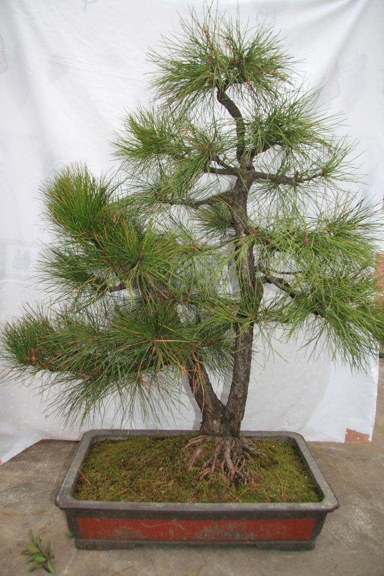 2011.11.1 021˫�˵���.JPG