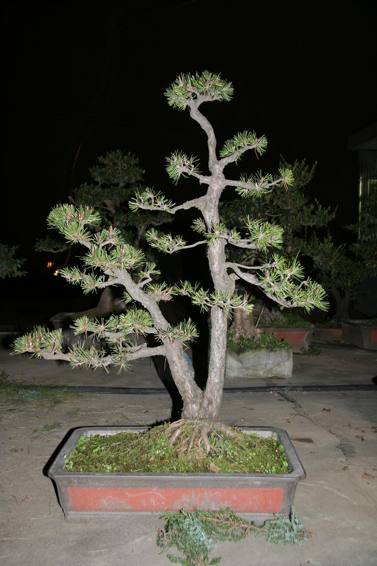 ˫���� 001����ͼƬ.JPG