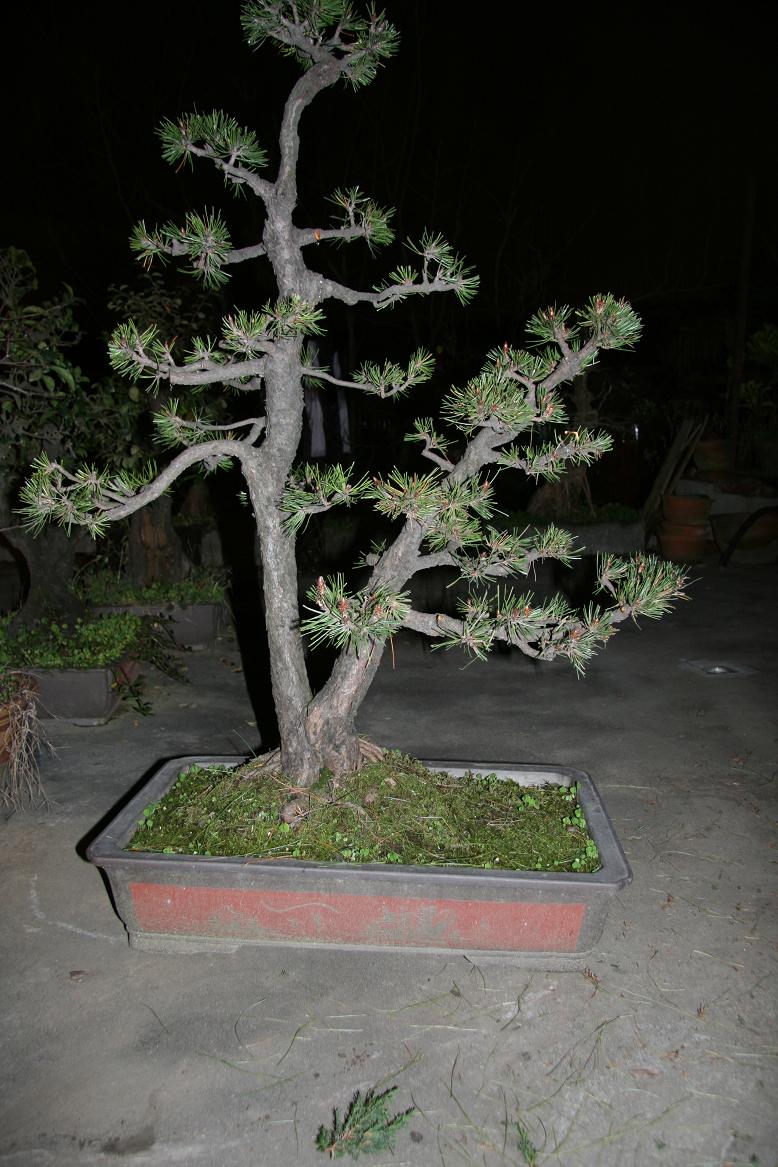 ˫���� 002���洦��ͼƬ.JPG