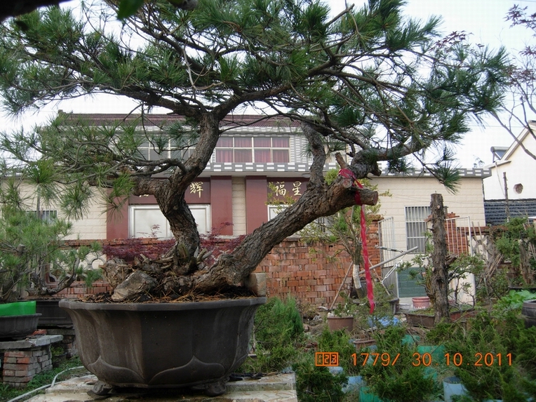 DSCN4494.JPG