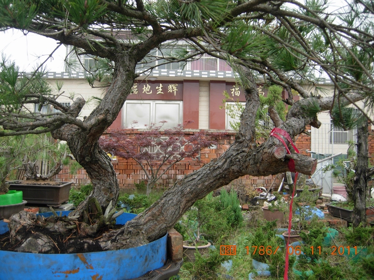 DSCN4581.JPG