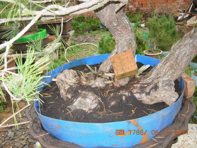 DSCN4582.JPG