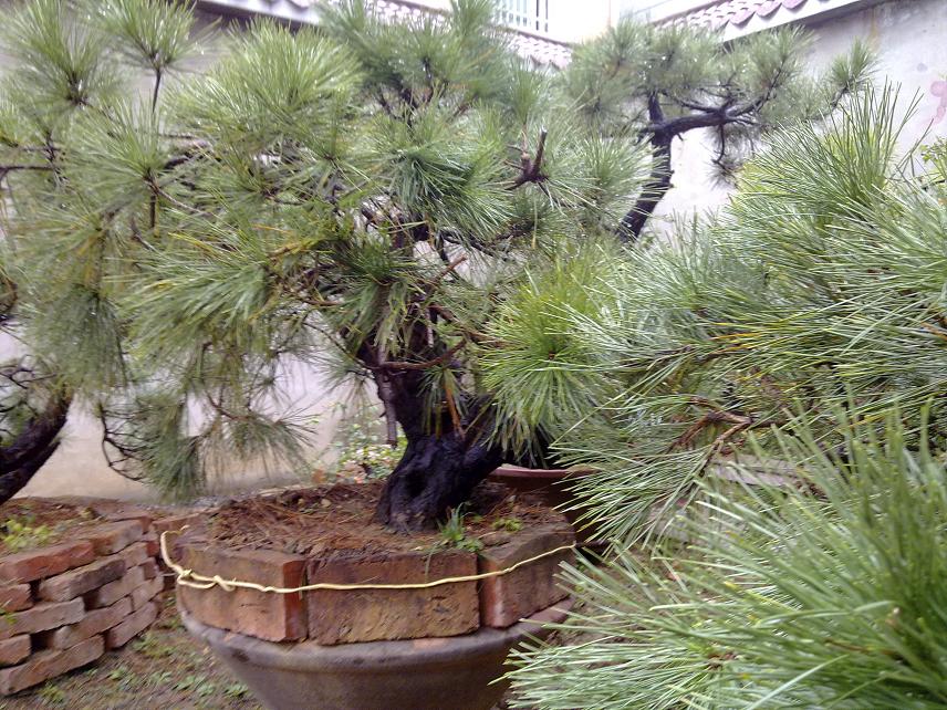 20111105007.jpg