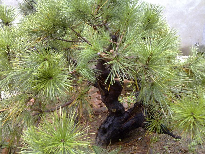 20111105010.jpg