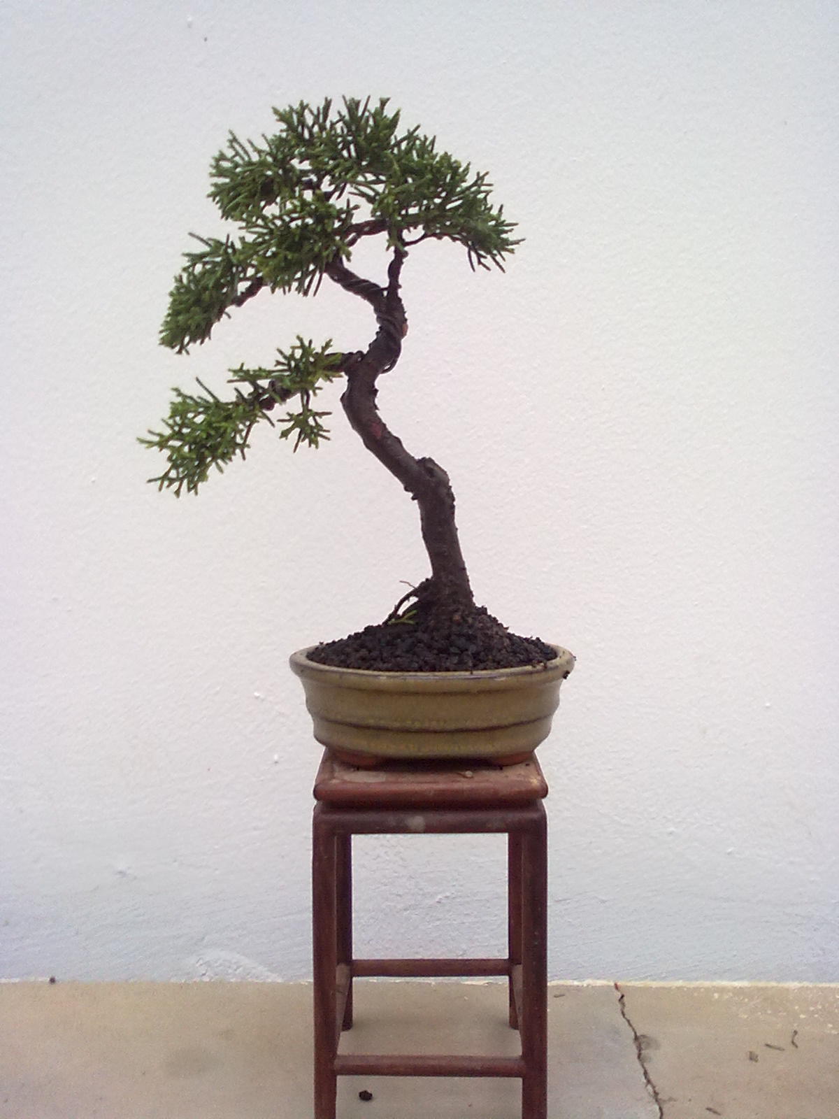 201111091002.jpg