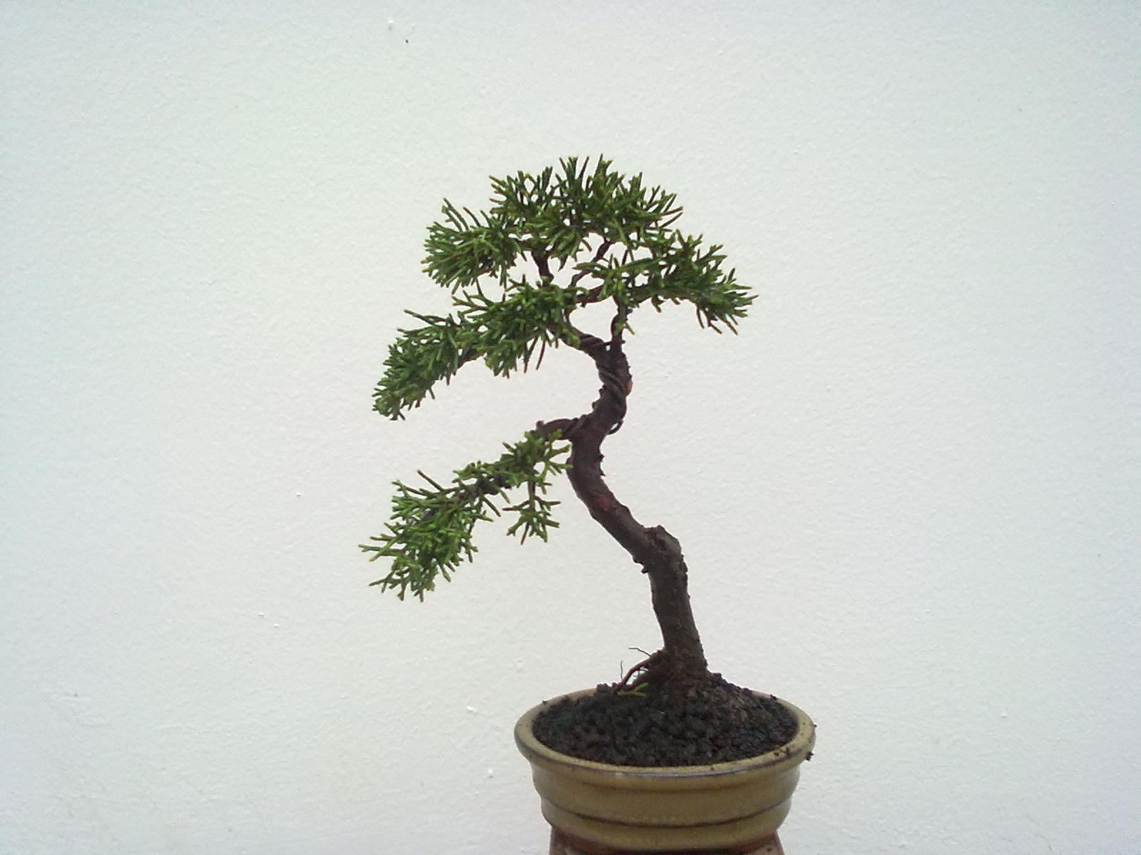 201111091004.jpg
