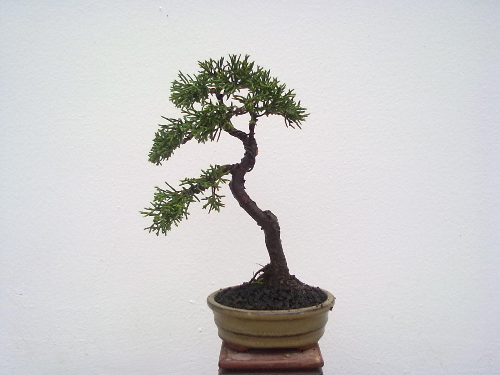 201111091001.jpg