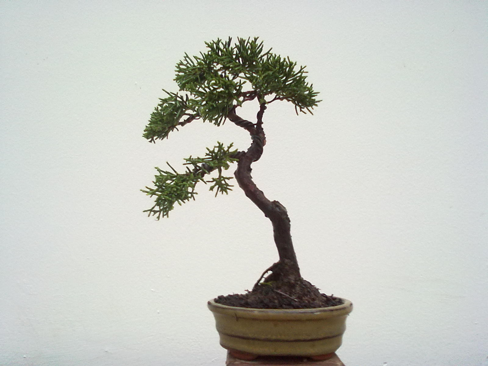 20111109993.jpg
