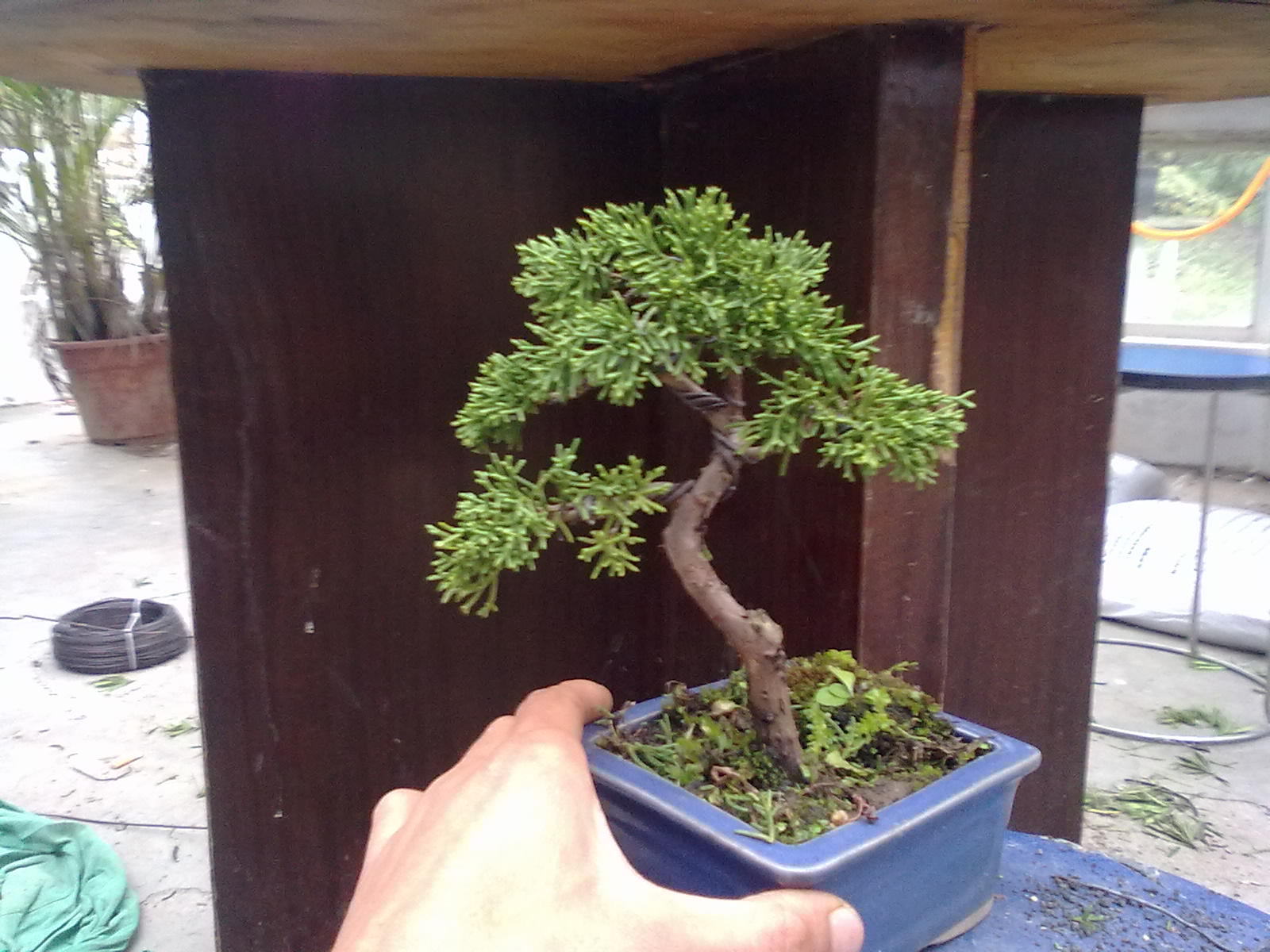 20111109992.jpg