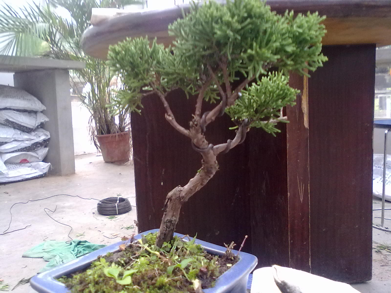 20111109991.jpg