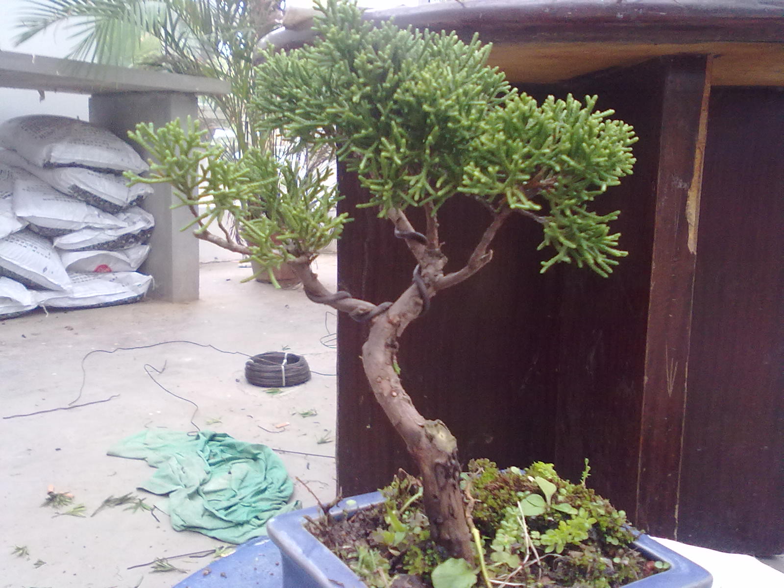 20111109990.jpg