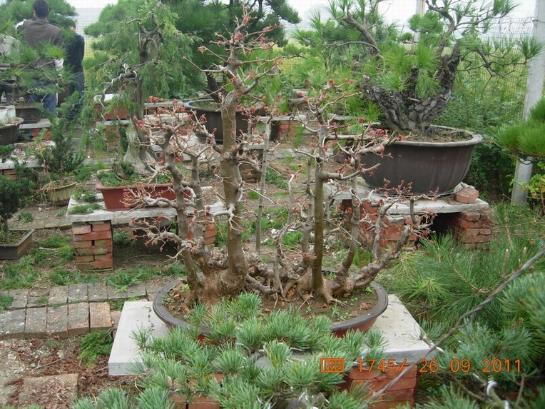 DSCN4405.JPG