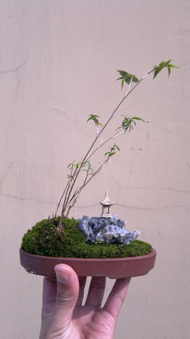 20111110435.jpg