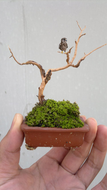 20111110433.jpg