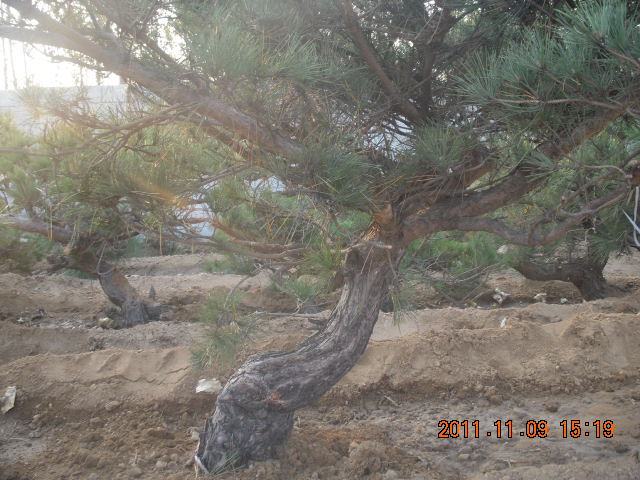 DSCN2170.JPG