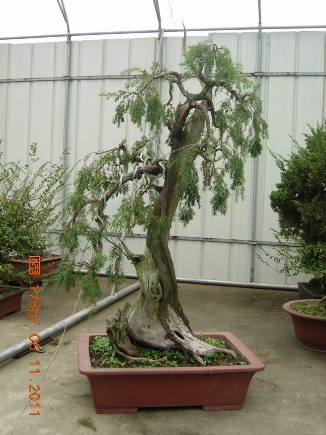 DSCN4515.JPG
