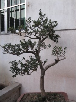 ޸ǰë׮.jpg