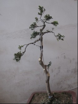 ޸ĺ.jpg