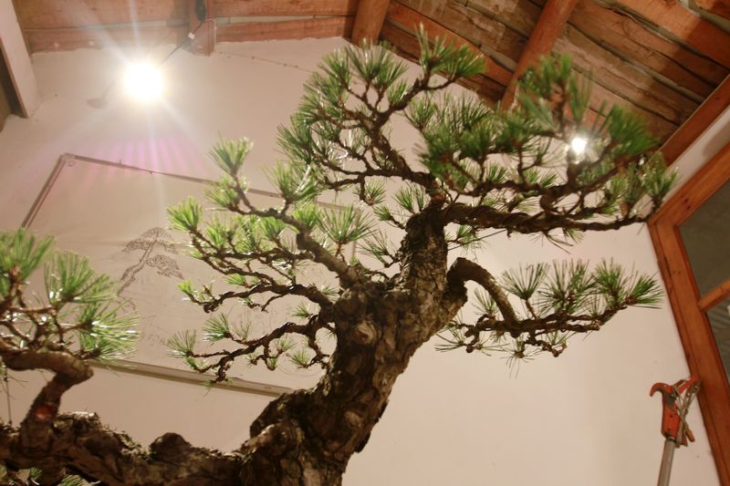 20111112_371.JPG