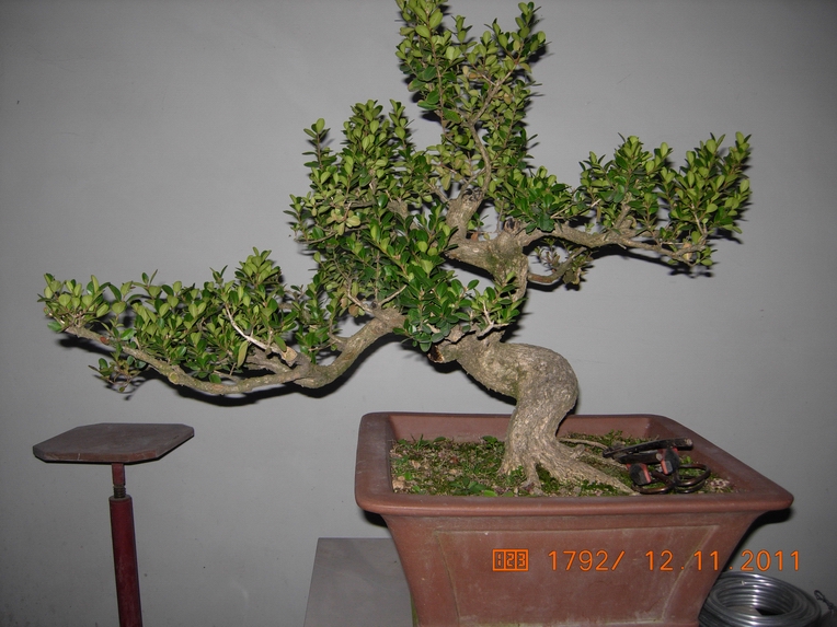 DSCN4587.JPG
