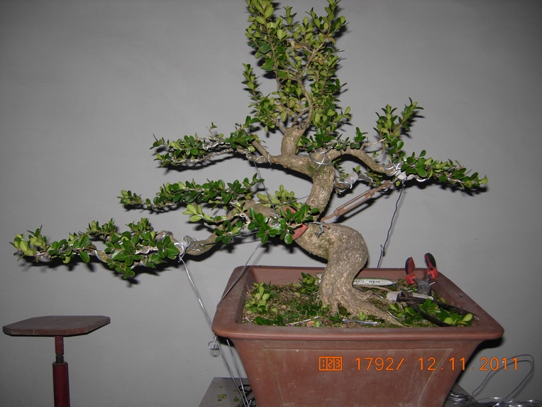 DSCN4600.JPG