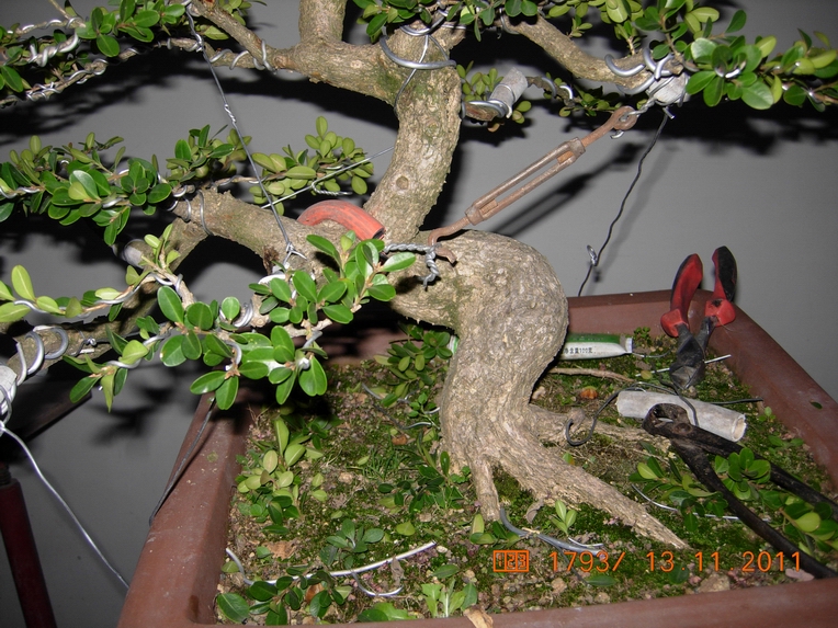 DSCN4605.JPG