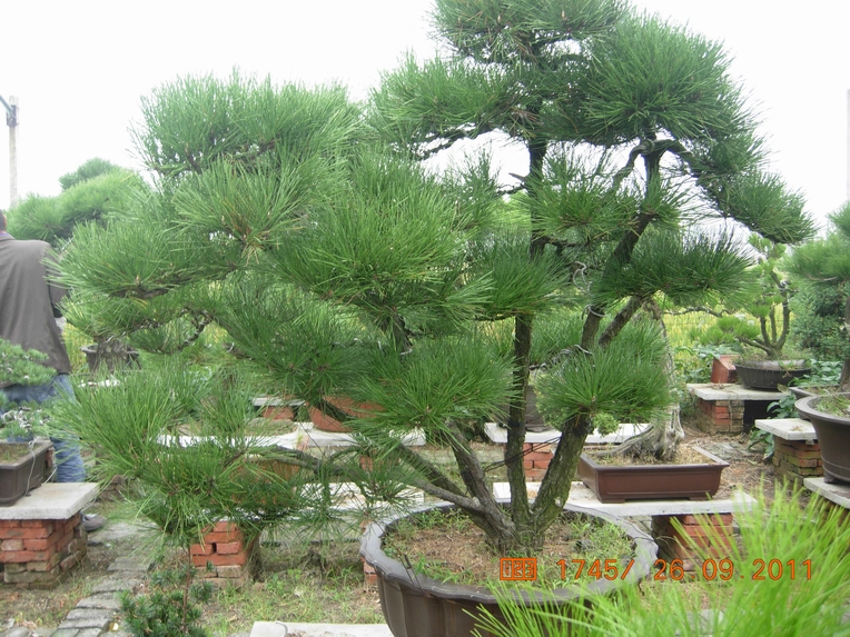 DSCN4415.JPG