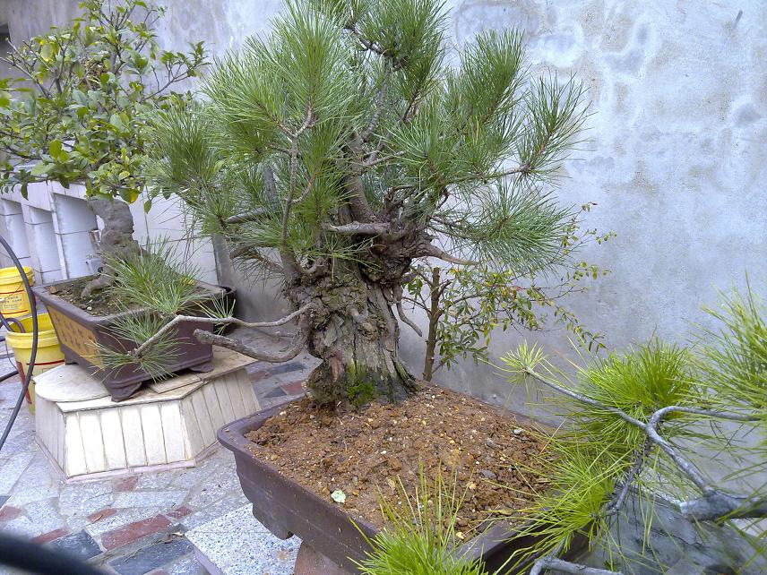 20111114033.jpg