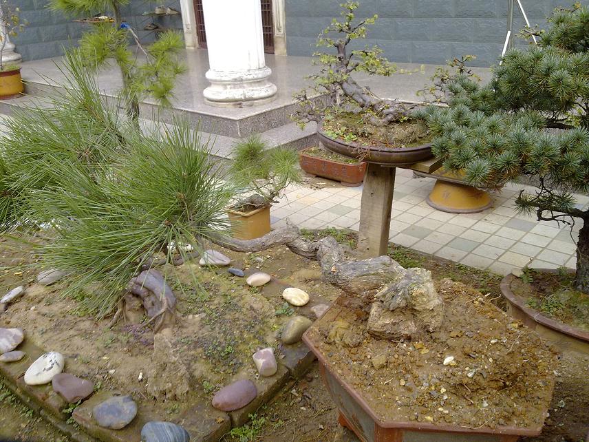 20111114035.jpg