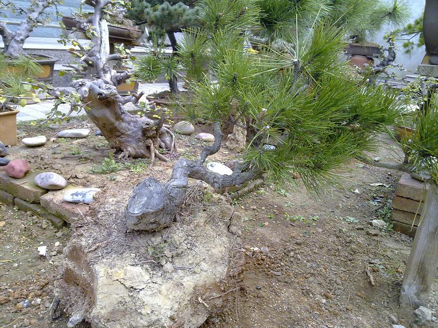 20111114038.jpg