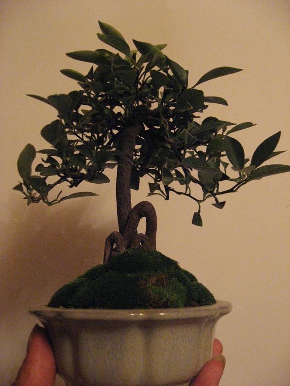 Ƭ 070.jpg