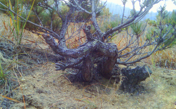 IMAG0040.JPG