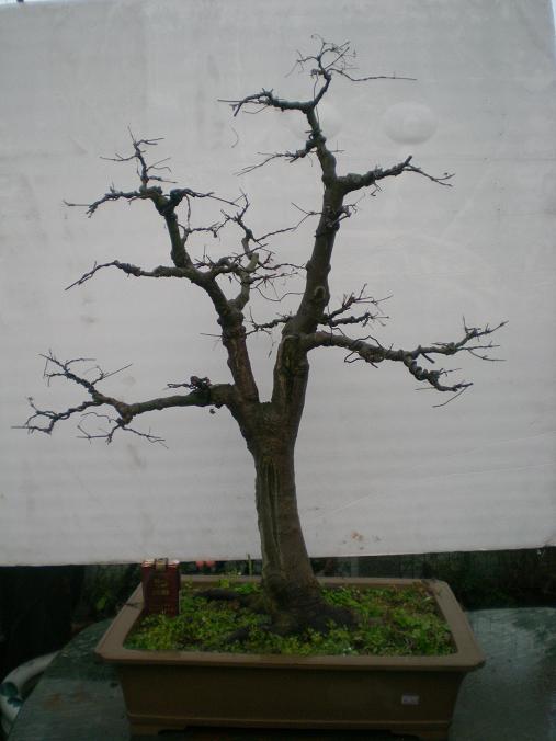 20111114С԰գ1 048.jpg