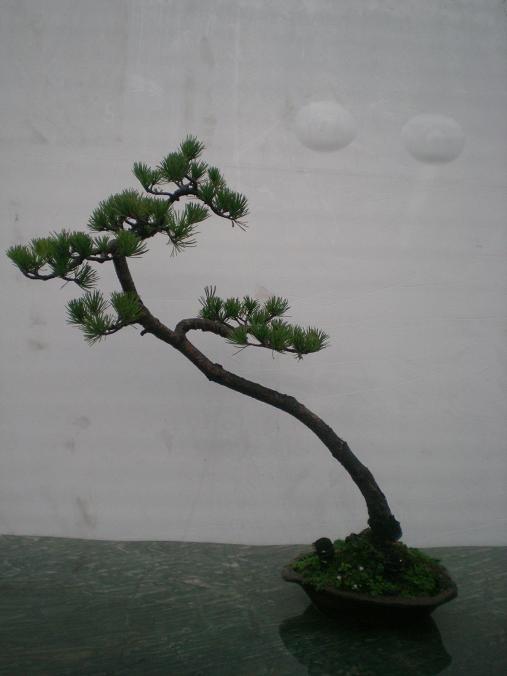 20111114С԰գ1 051.jpg