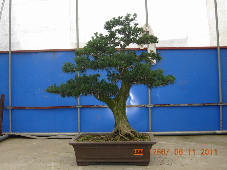 DSCN4510.JPG